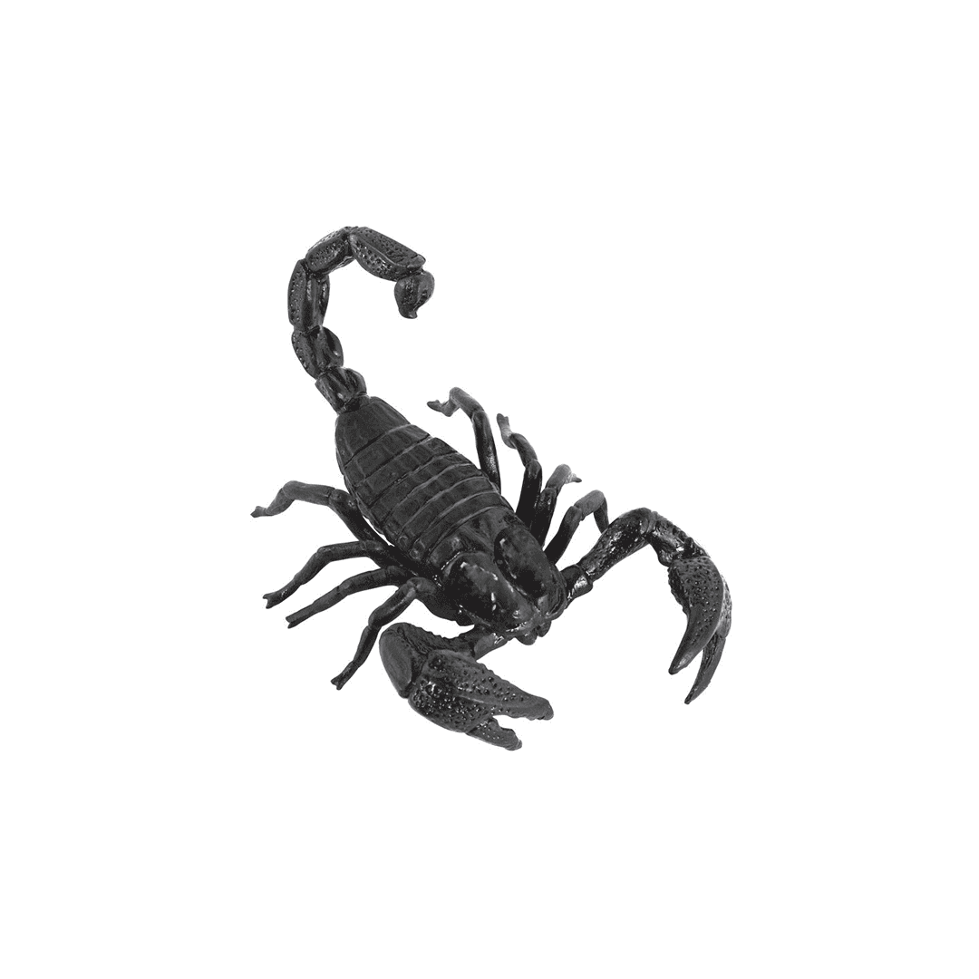 Scorpion gigante negro