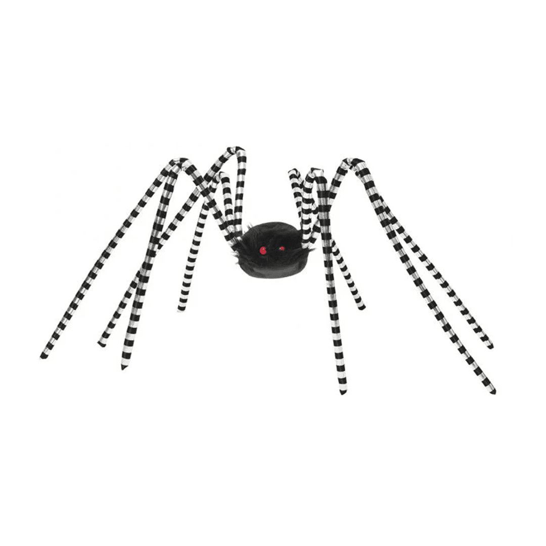 Araña patas largas de colores - Imagen 3