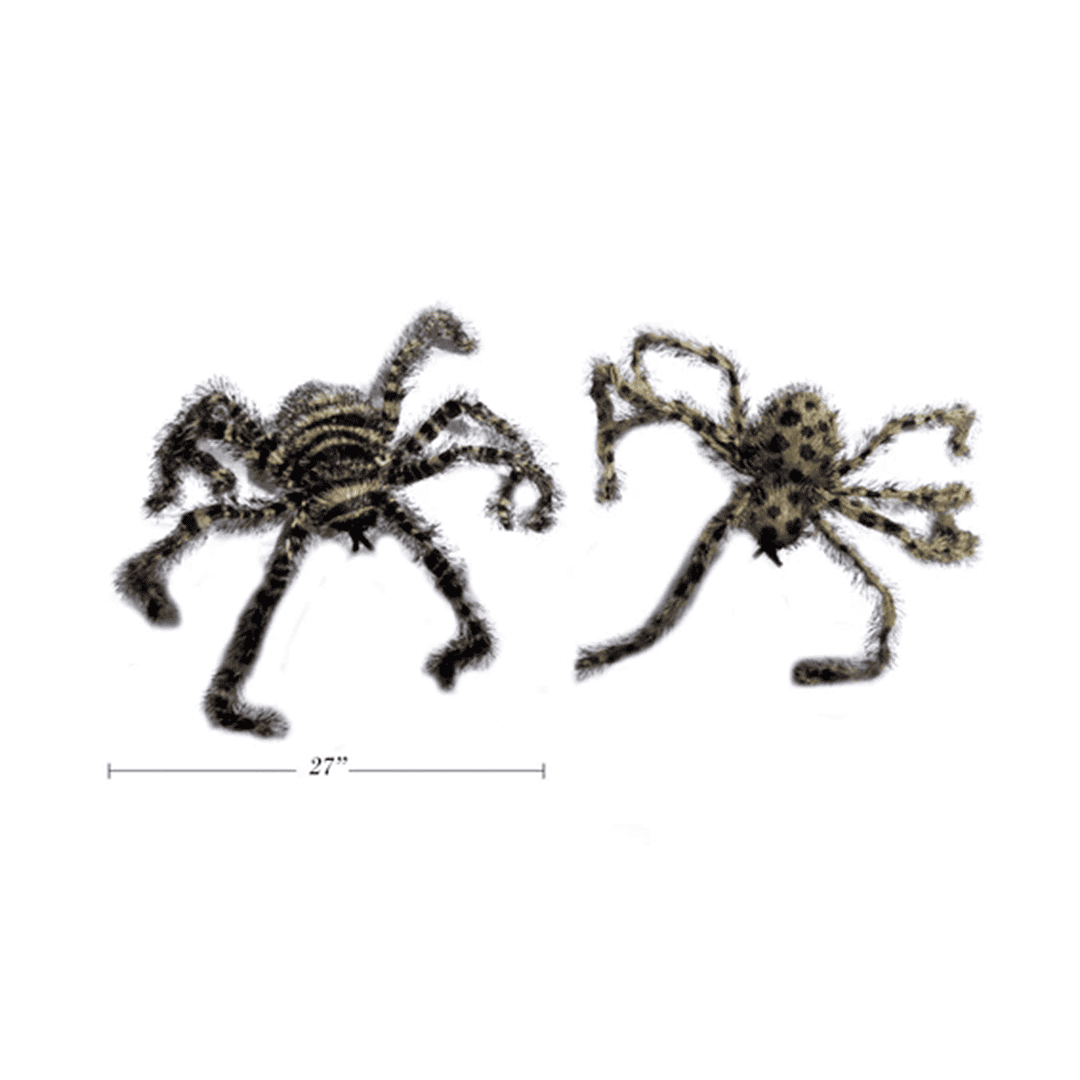 Araña leopardo mediana - Imagen 2