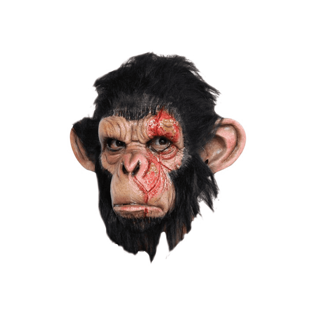 Infected chimp