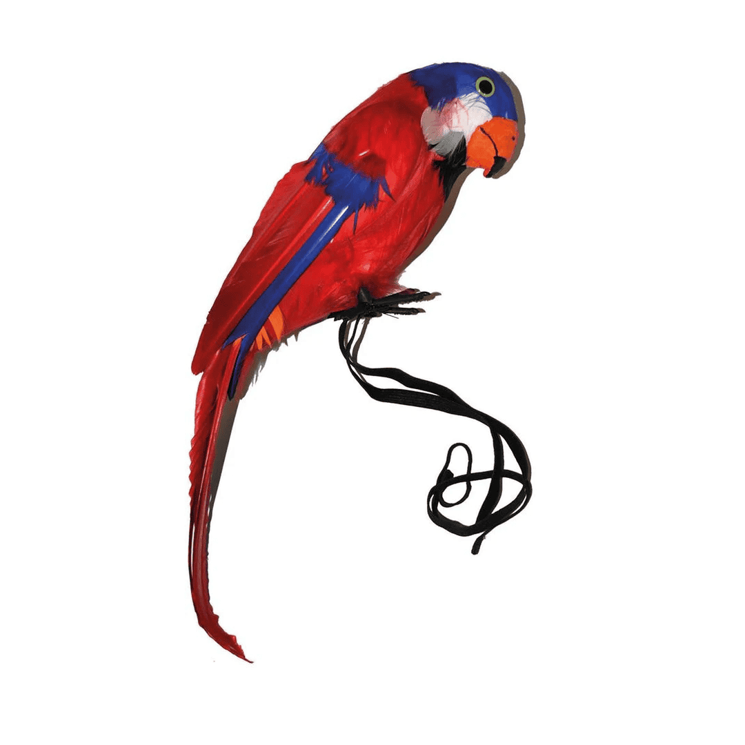Guacamaya roja 13.8"