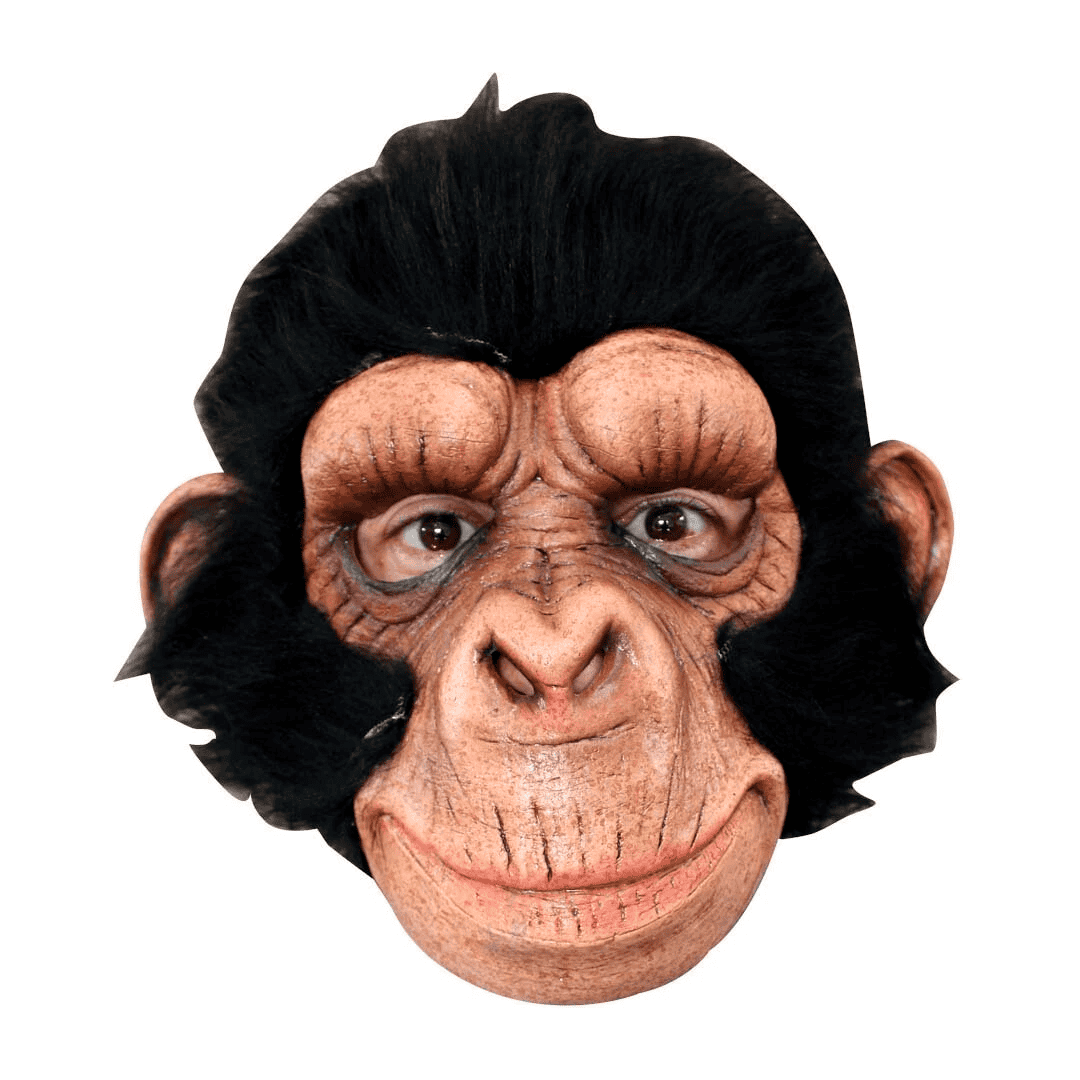 Chimp george