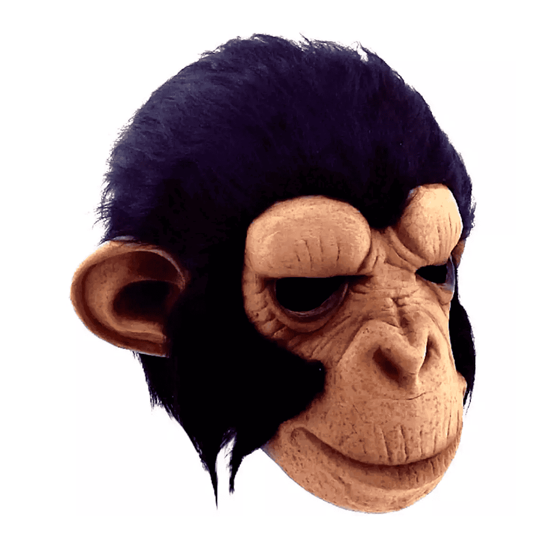 Chimp george - Imagen 2