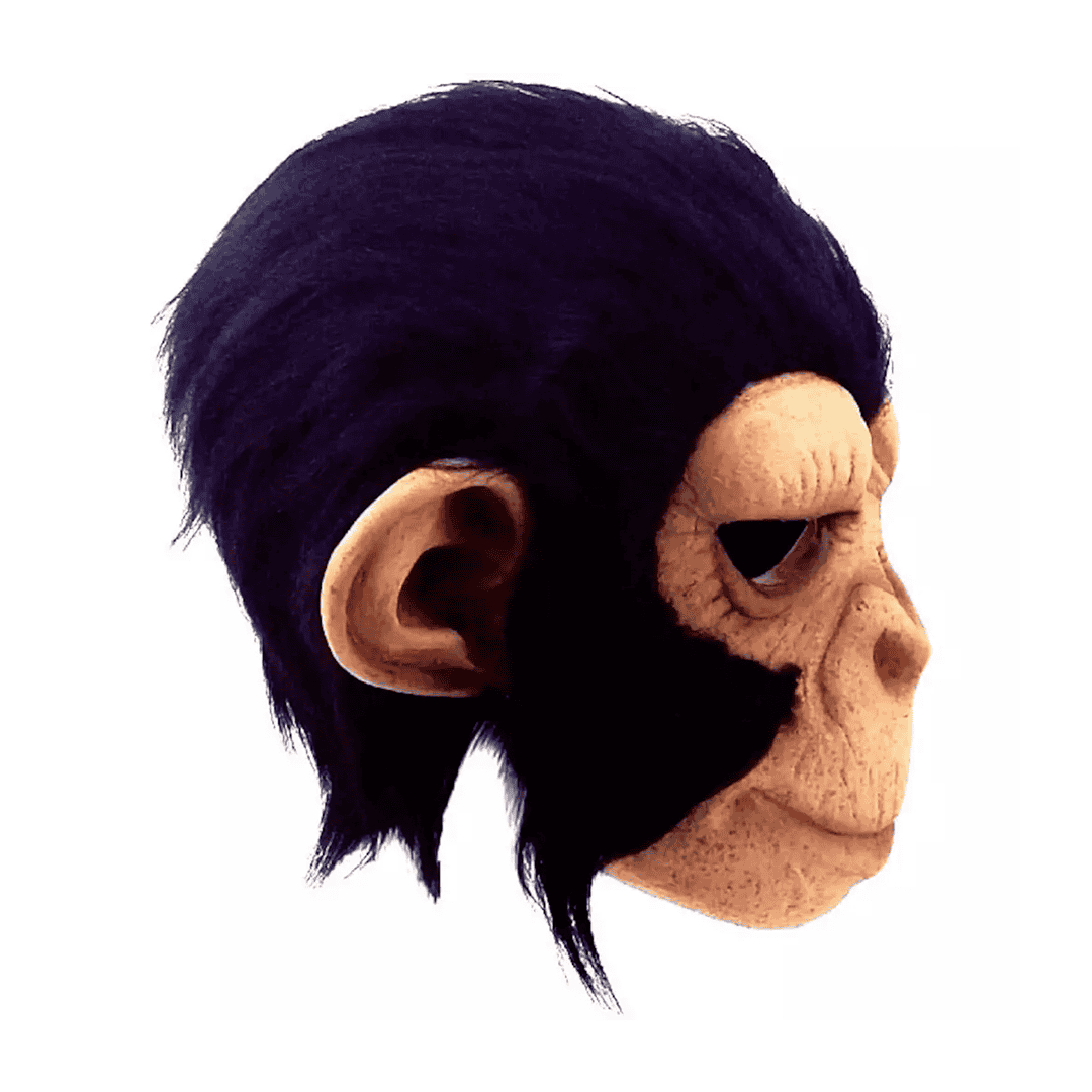 Chimp george - Imagen 3