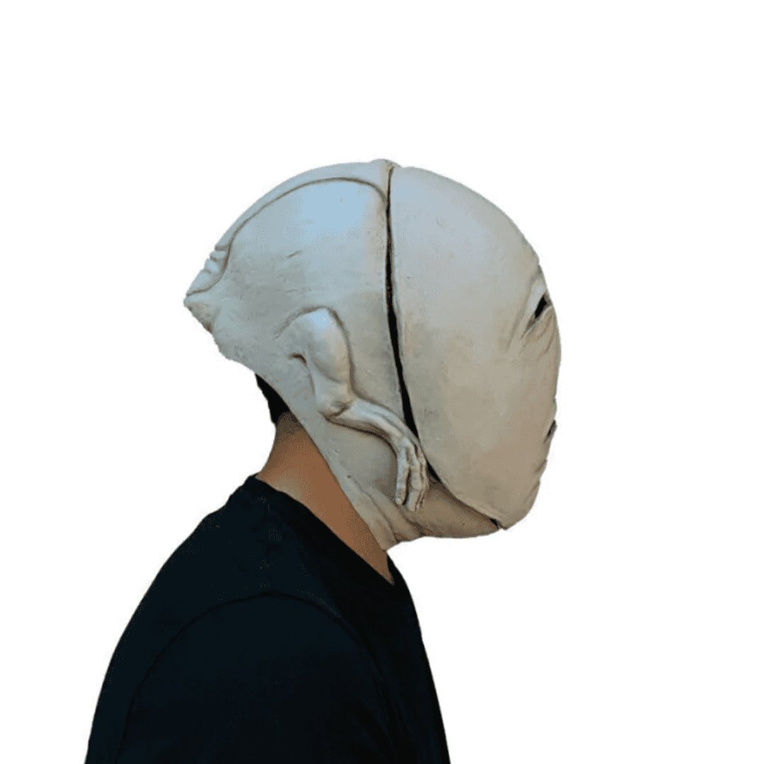 Creepypastas bridge maggot - Imagen 2