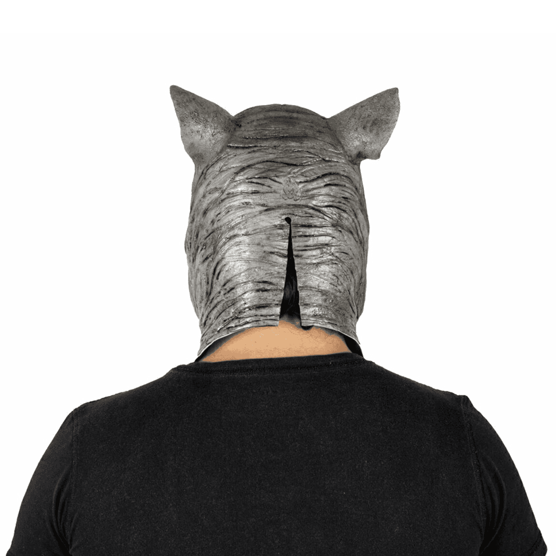 Evil rocko - Imagen 3