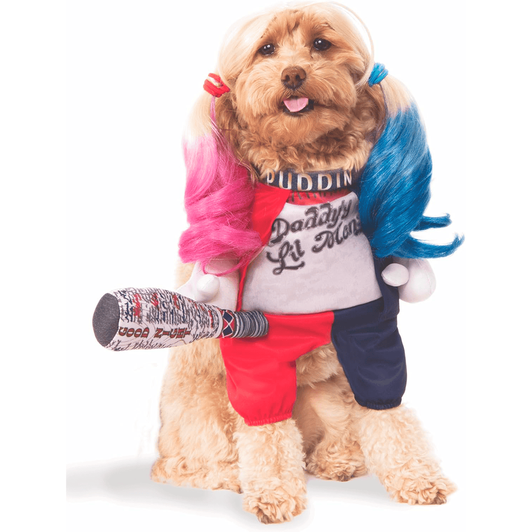Disfraz para mascota harlwy quinn talla m