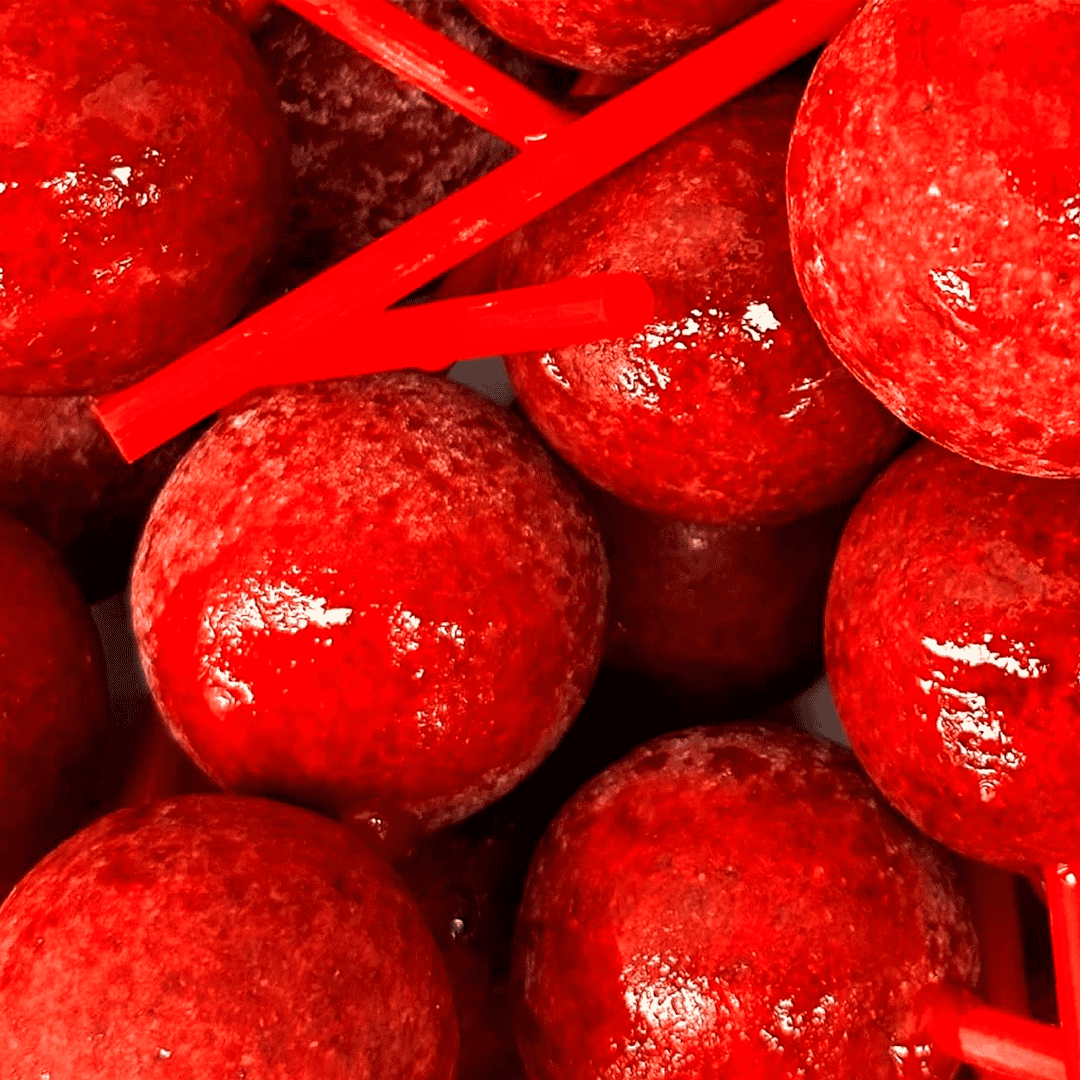 Pachicleta fuego - Imagen 2