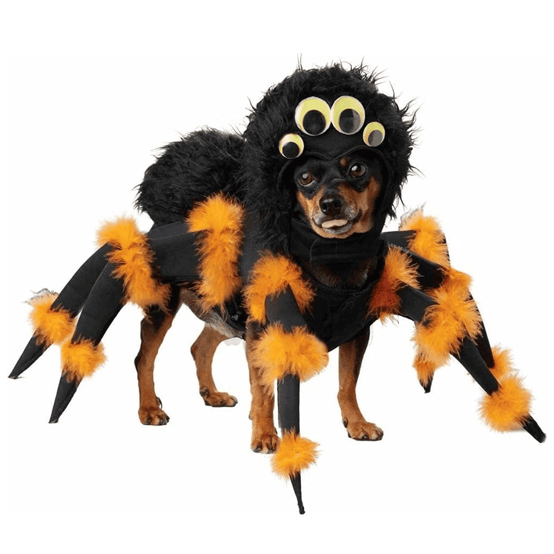 Disfraz de araña para perro