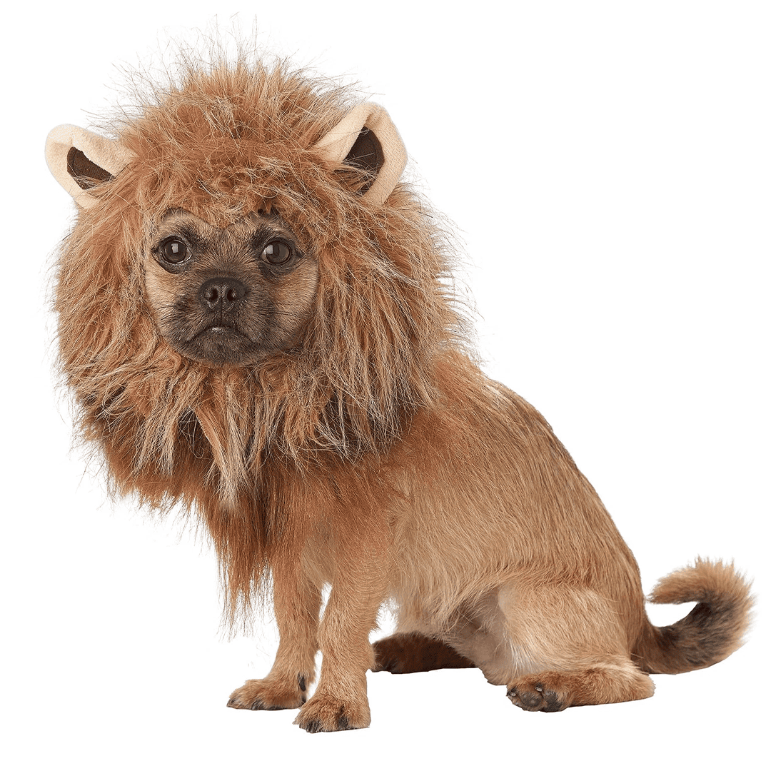 Disfraz para perro de león