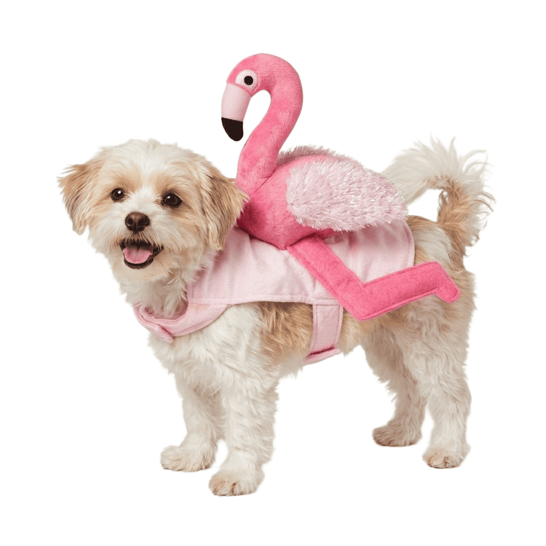 Disfraz de Halloween para perro y gato: Jinete de flamenco