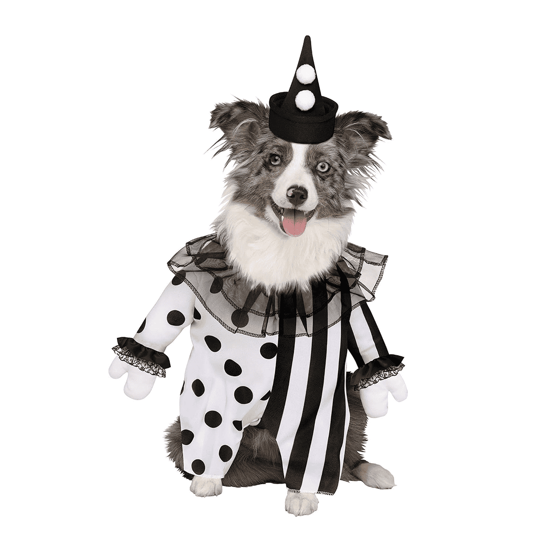 Disfraz de galleta de jengibre para perro
