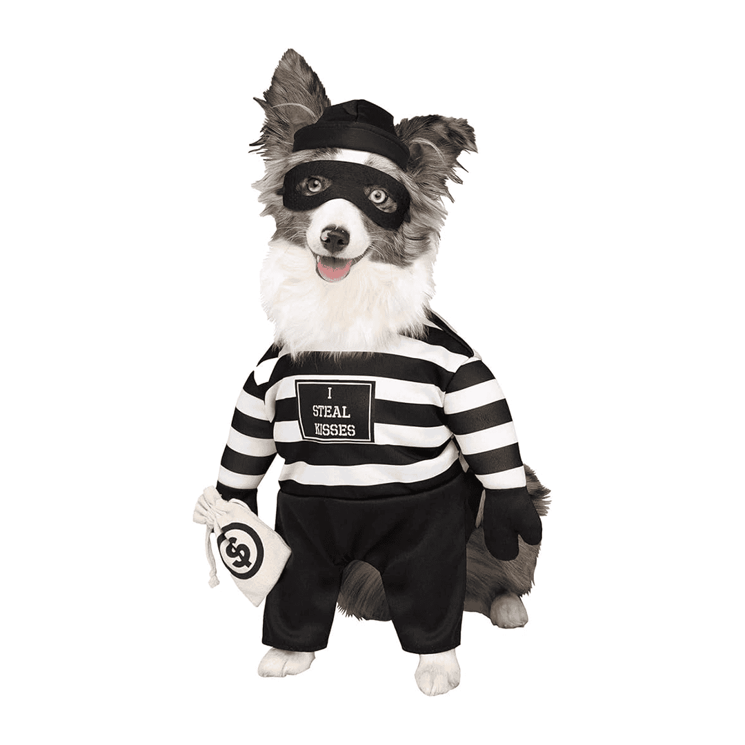 Disfraz de cachorro de ladrón para mascotas