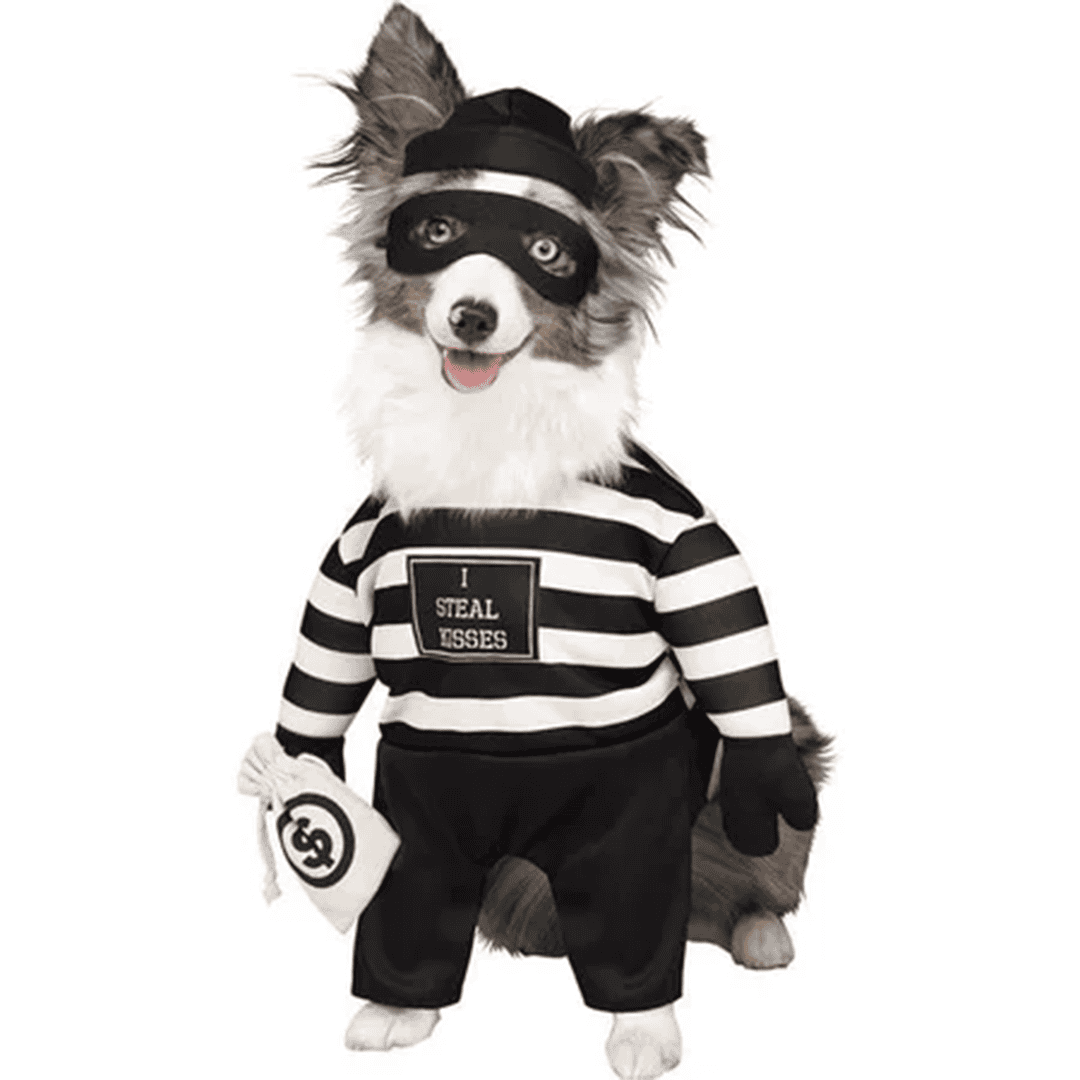 Disfraz para perro de ladrón