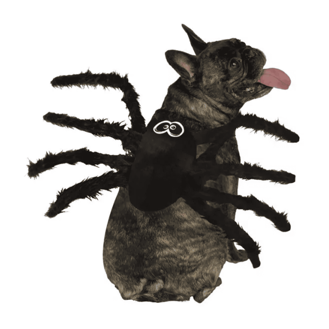 Disfraz de araña para perro