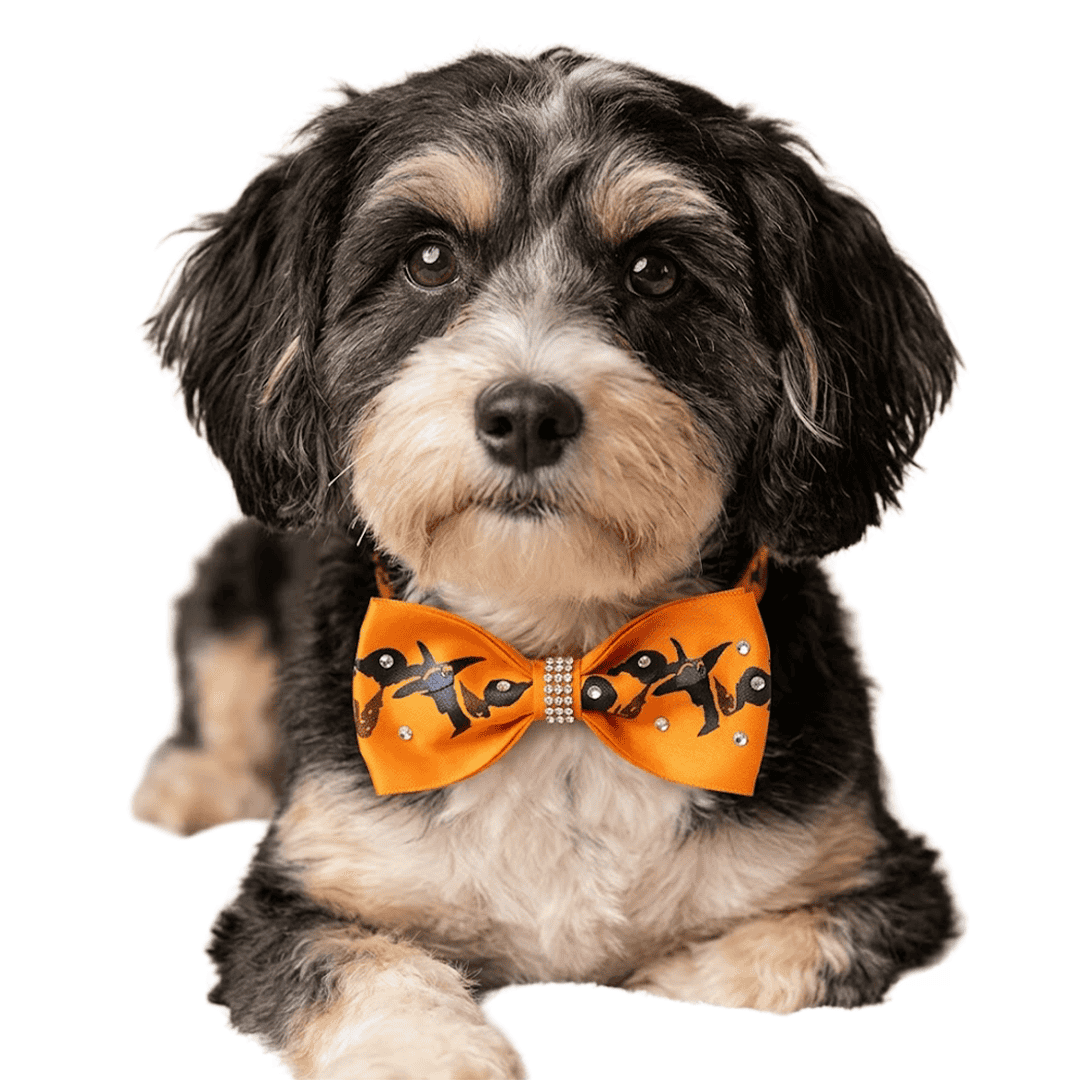 Sombreros de disfraz de Halloween para mascotas - Imagen 4