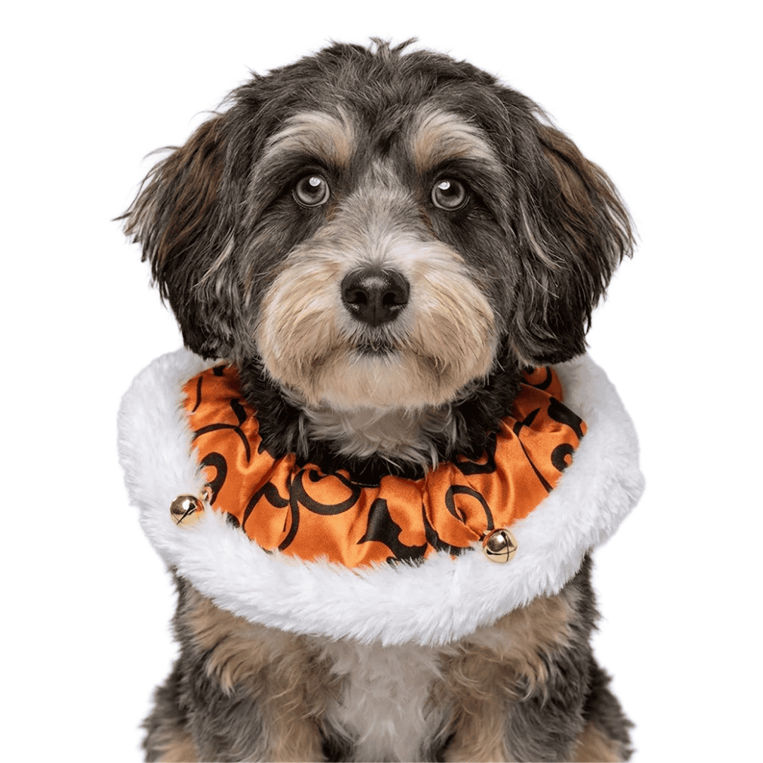 Sombreros de disfraz de Halloween para mascotas - Imagen 5