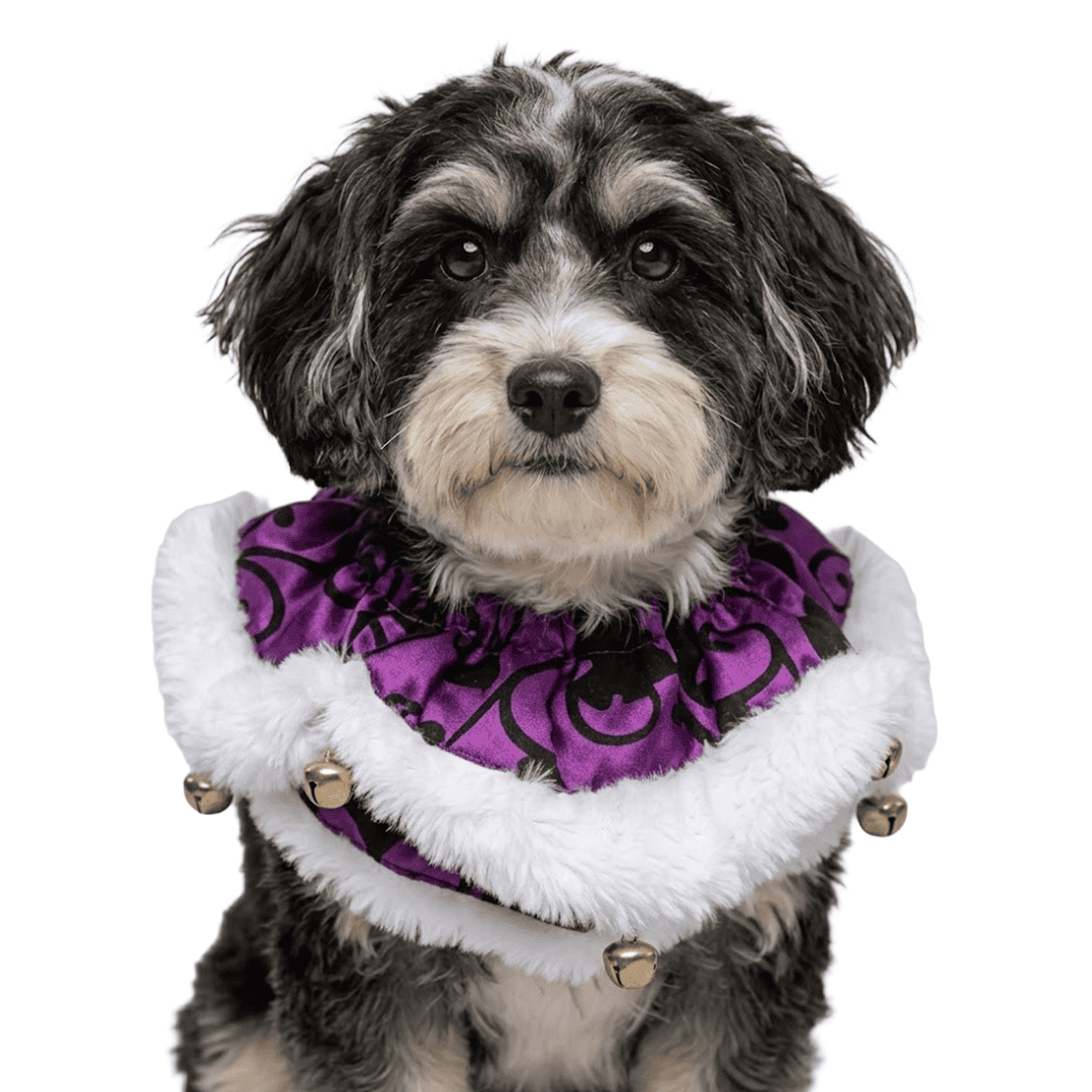 Sombreros de disfraz de Halloween para mascotas - Imagen 6
