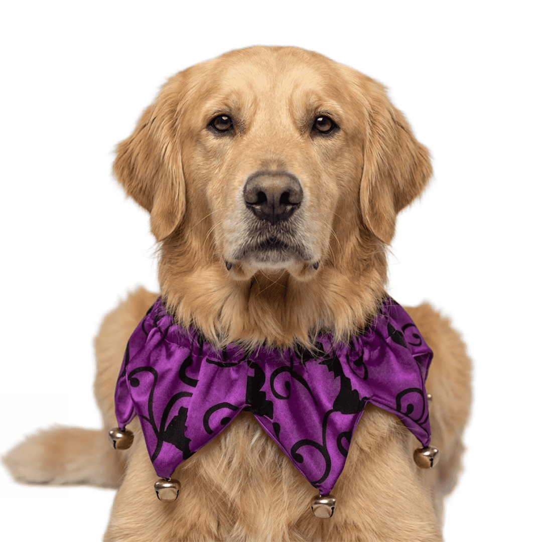 Sombreros de disfraz de Halloween para mascotas - Imagen 7