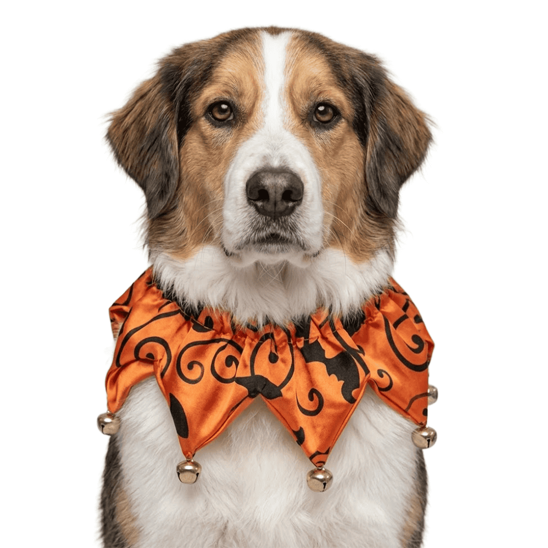 Sombreros de disfraz de Halloween para mascotas - Imagen 8