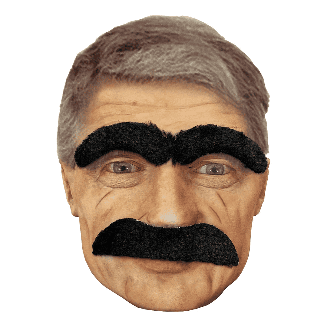Kit de Bigote y Cejas de anciano