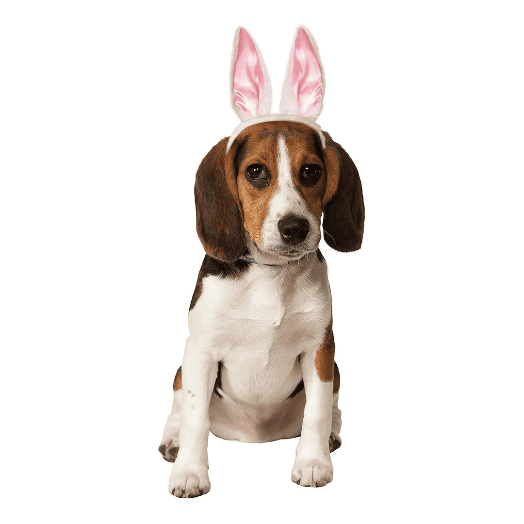 Orejas de conejo, accesorio para Disfraz de Mascota talla S/M