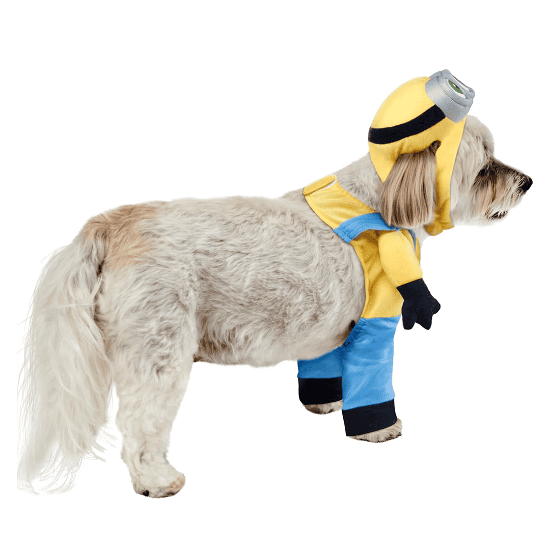 Disfraz de Minion para Prerro talla XS - Imagen 3