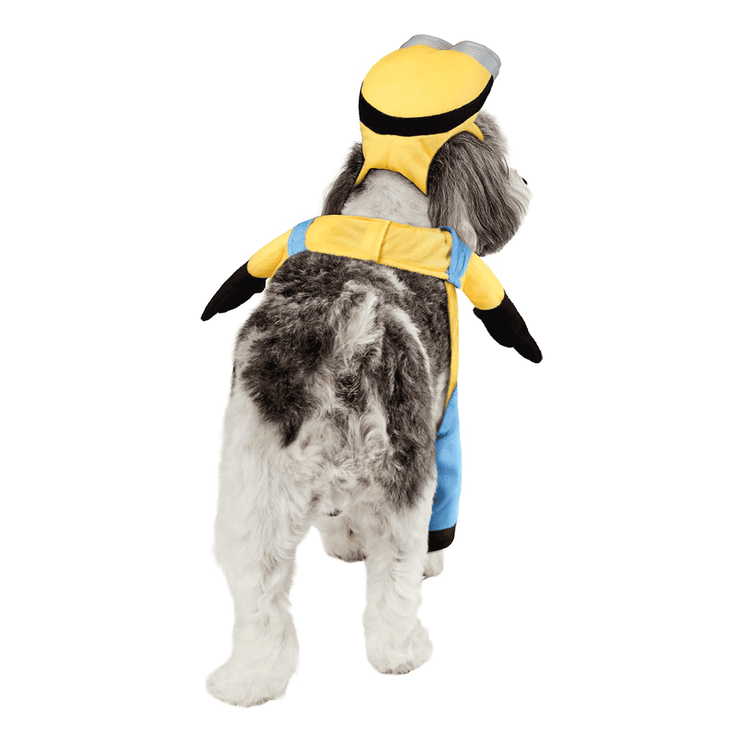 Disfraz de Minion para Prerro talla XS - Imagen 4
