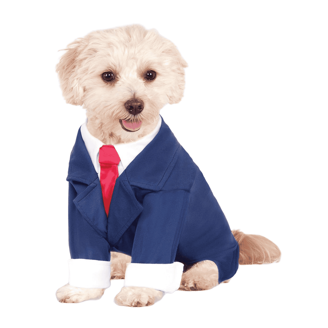 Traje de negocios azul para mascotas talla S