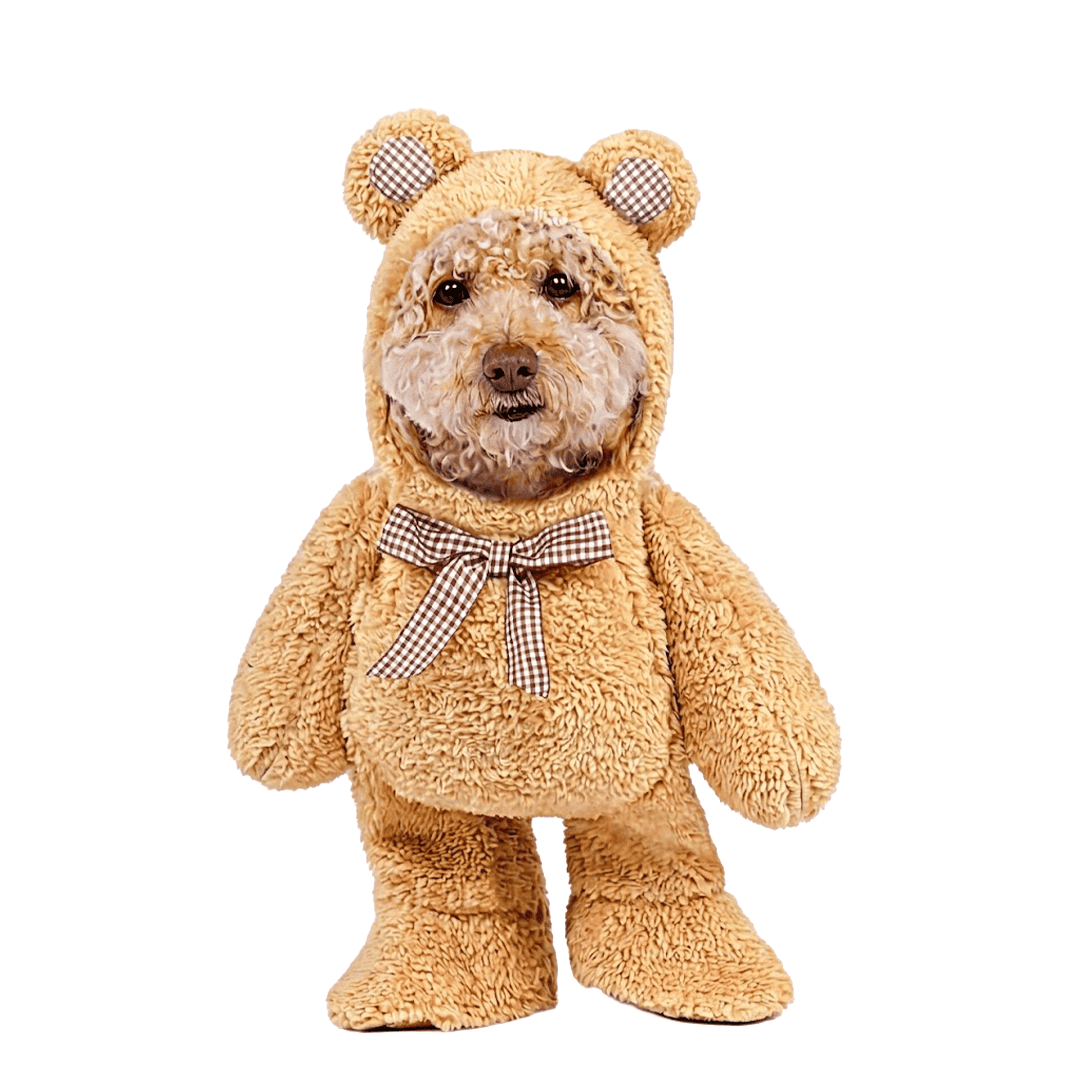 Disfraz de oso para perros