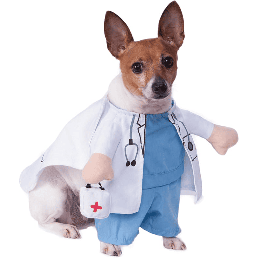 Disfraz de veterinario para perros