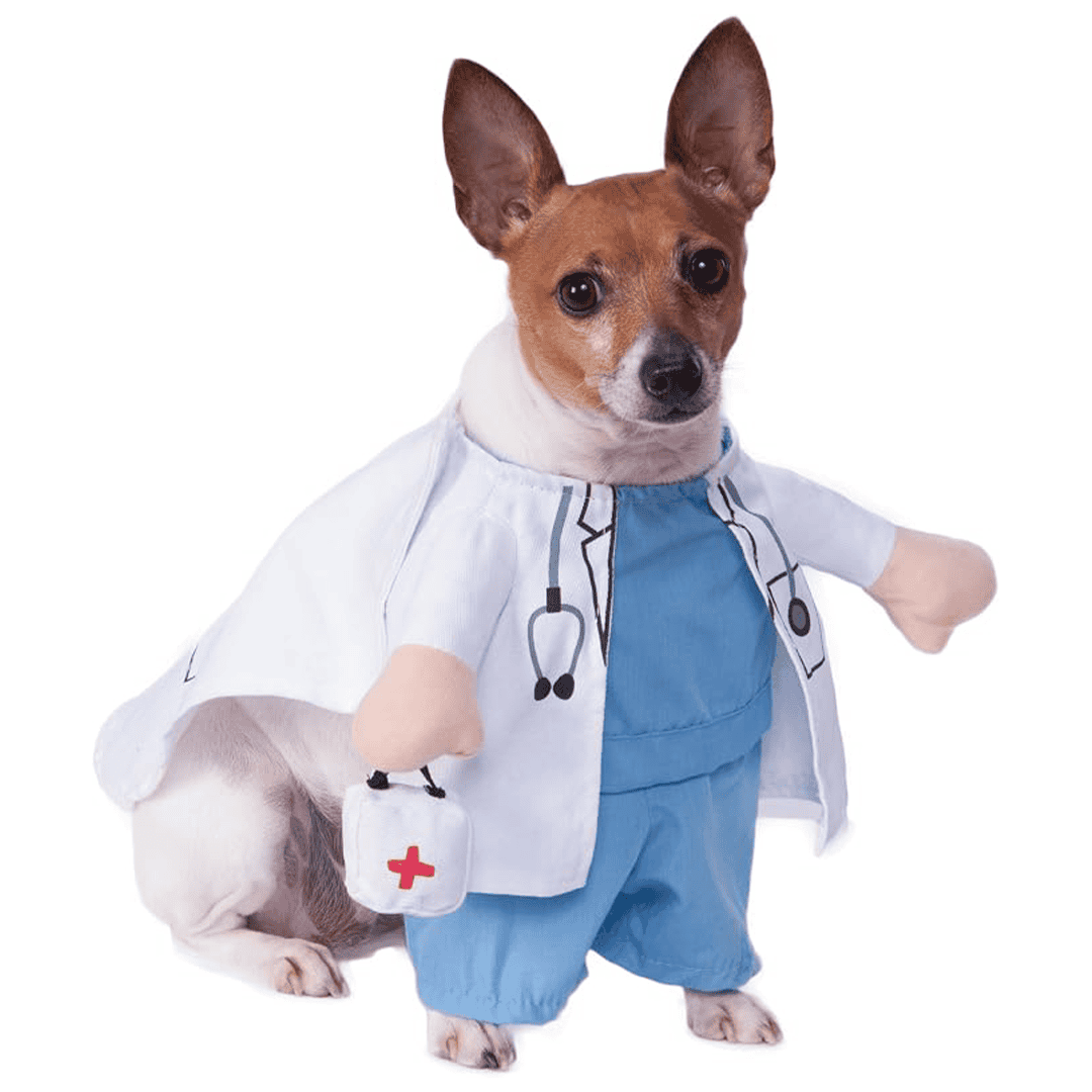 Disfraz de veterinario para perros - Imagen 2