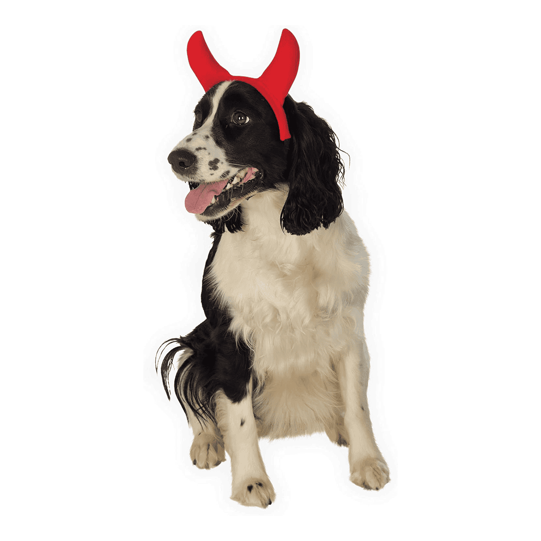 Accesorio para Disfraz de Mascota talla S/M - Imagen 2