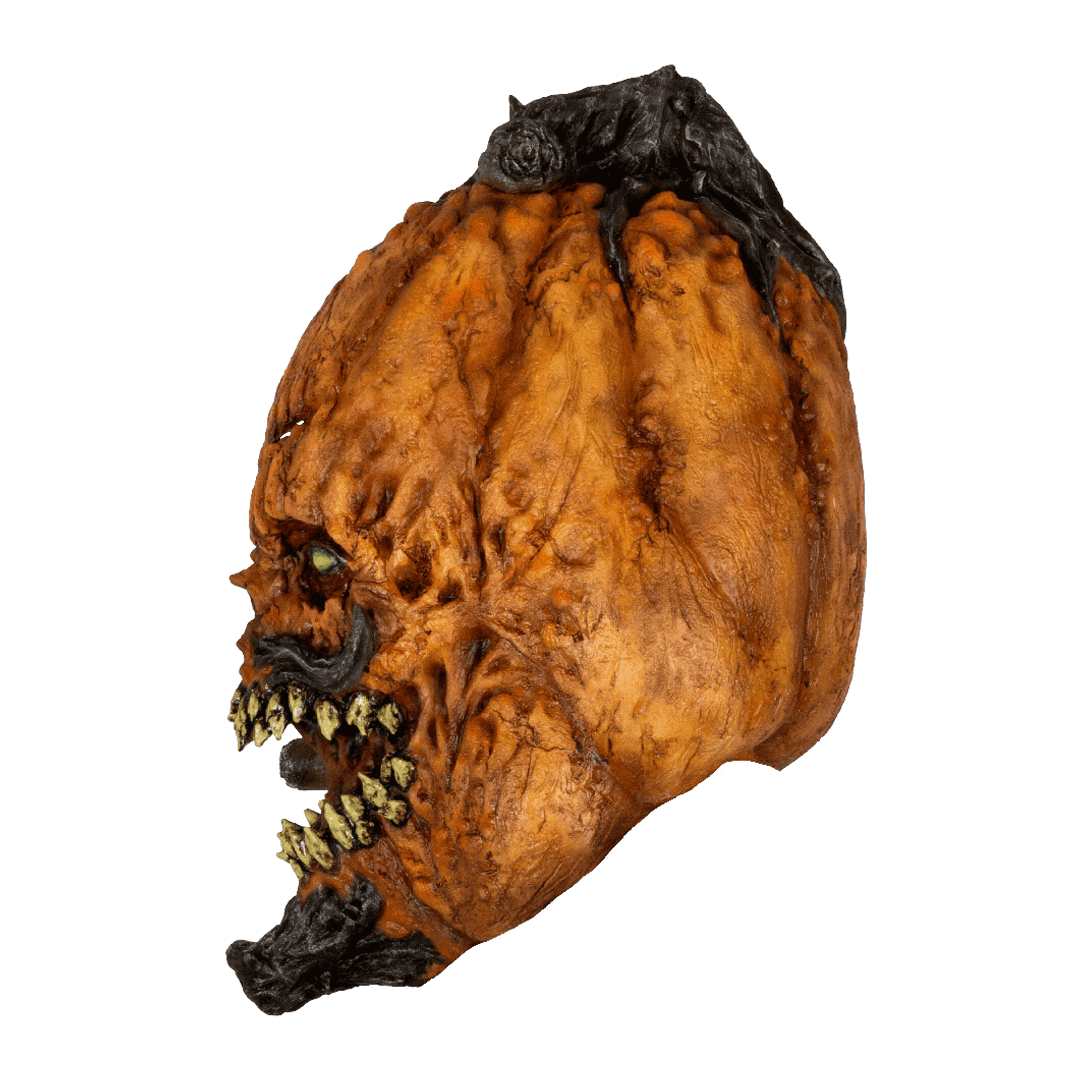 Mr. Pumpkin - Imagen 3