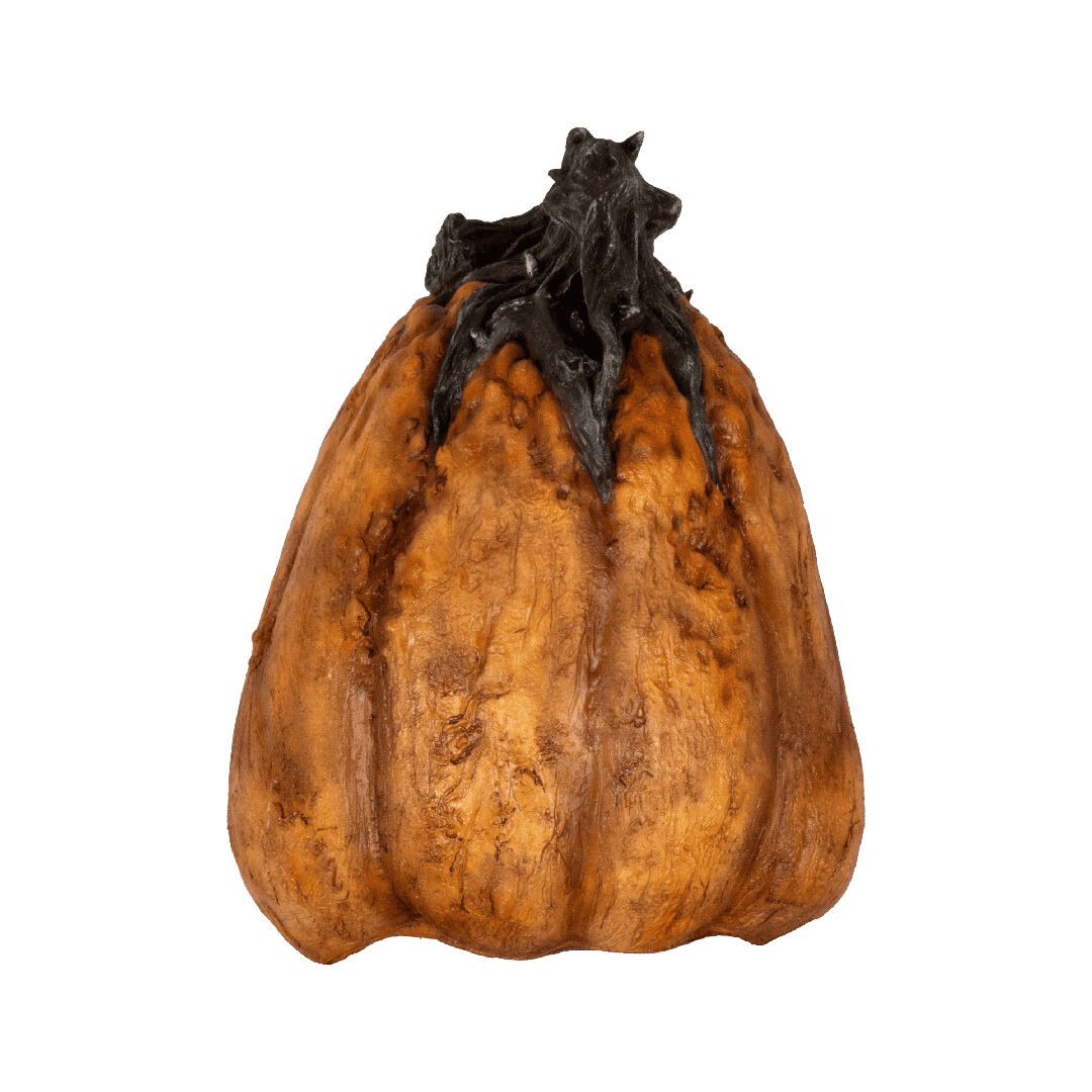 Mr. Pumpkin - Imagen 4